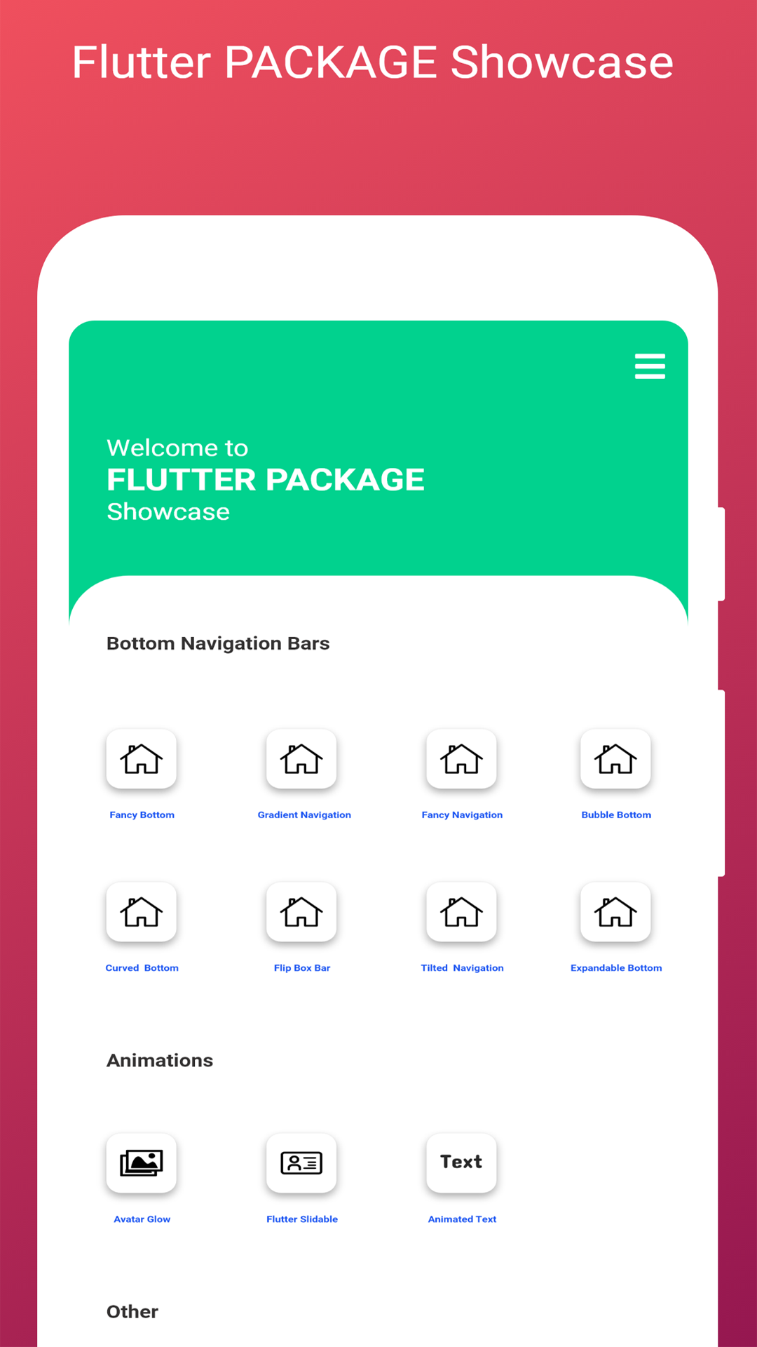 flutter install packages