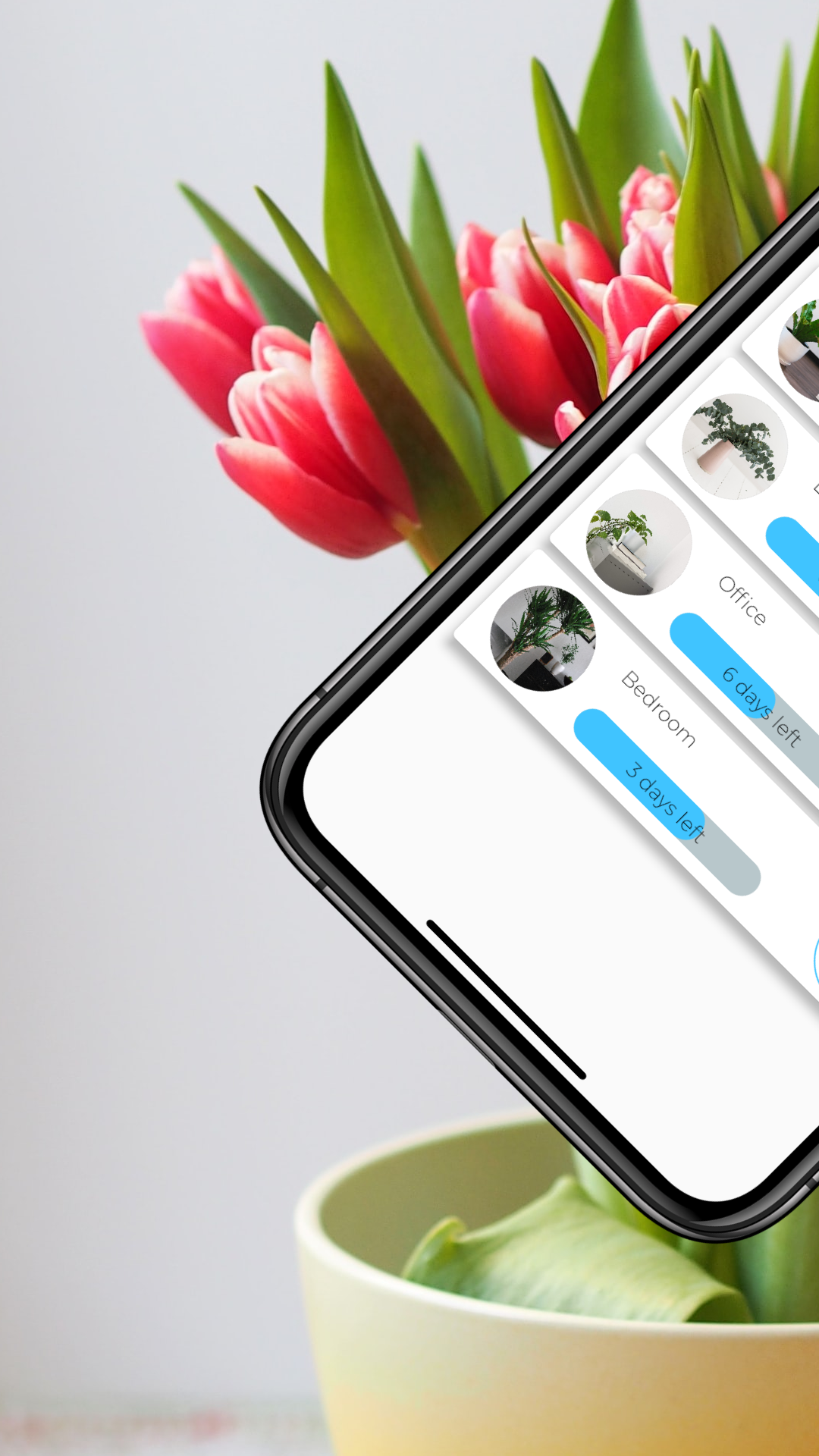 Plant Buddy | It's All Widgets!