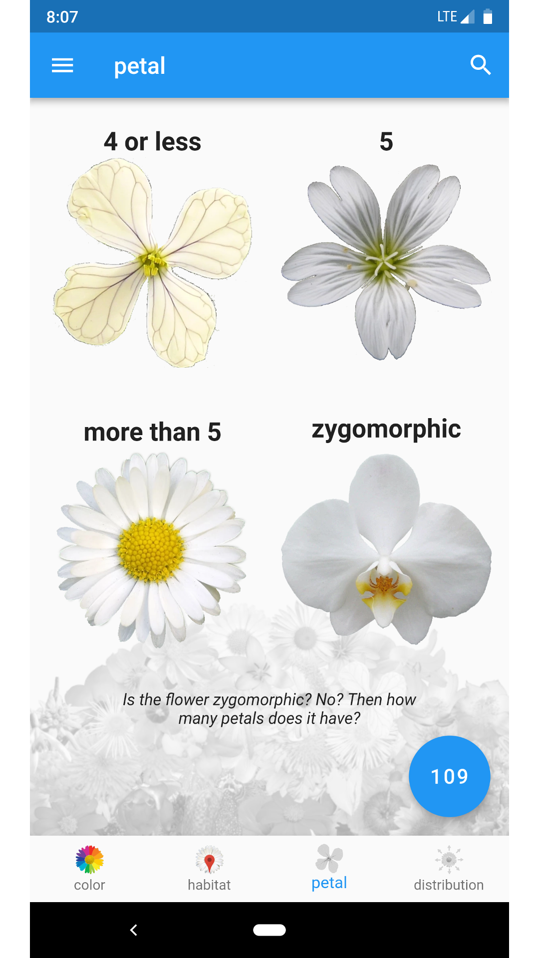 What's that flower? It's All Widgets!